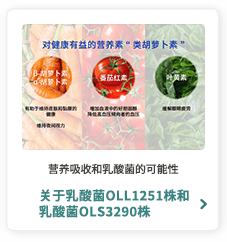 营养吸收和乳酸菌的可能性 关于乳酸菌OLL1251株和乳酸菌OLS3290株